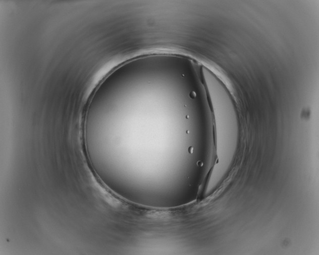 X0000091971006200709201401