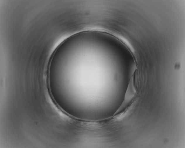 X0000091971007200709201401