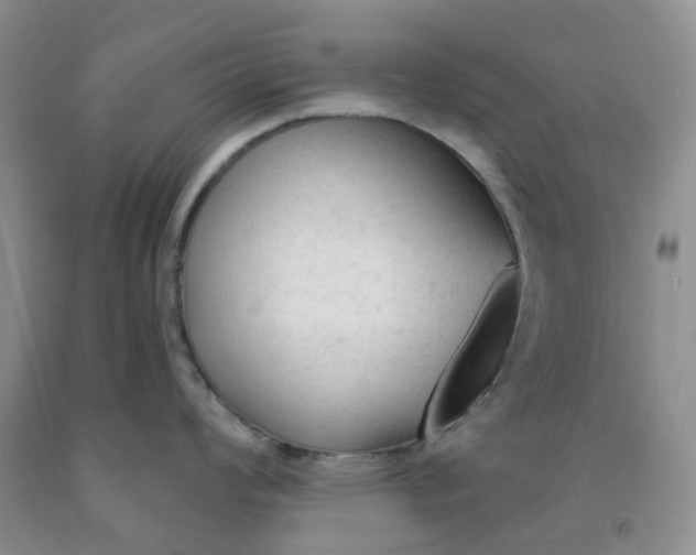 X0000091971008200709201401