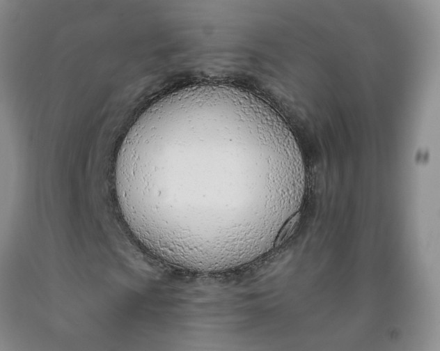 X0000091971009200709201400