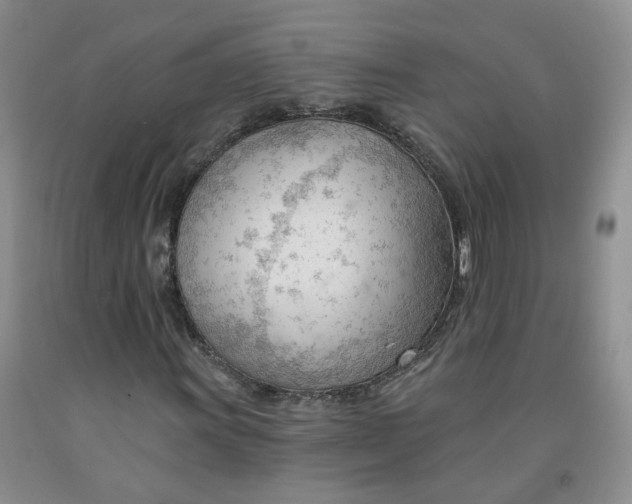 X0000091971011200709201400