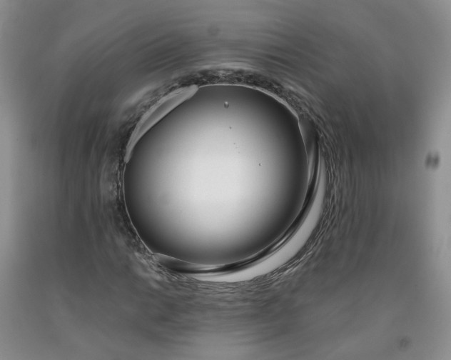 X0000091971014200709201401