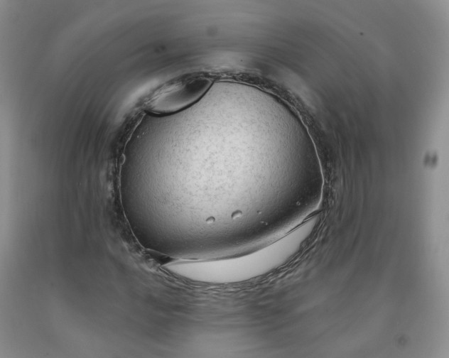 X0000091971016200709201401