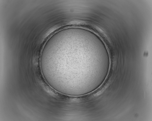 X0000091971017200709201401