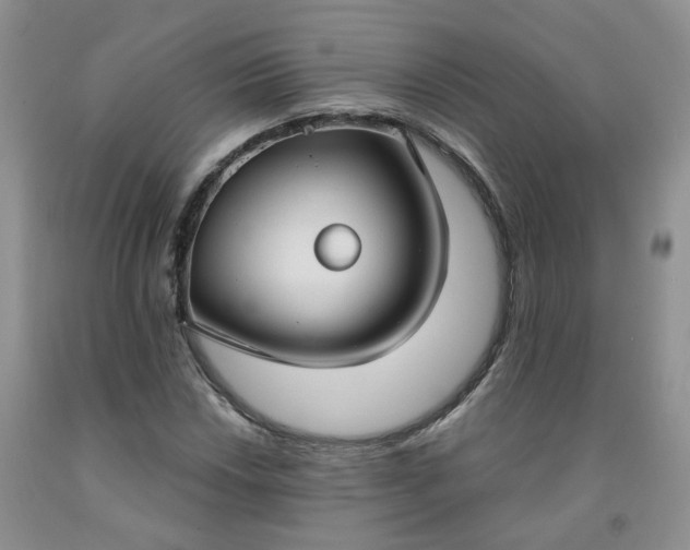 X0000091971018200709201401