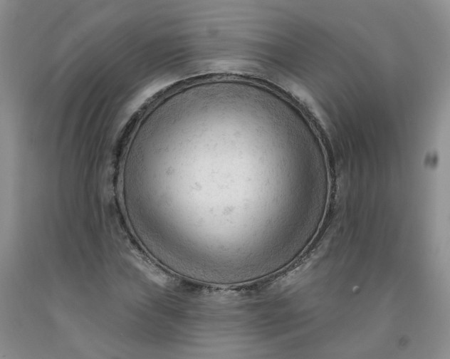 X0000091971019200709201401