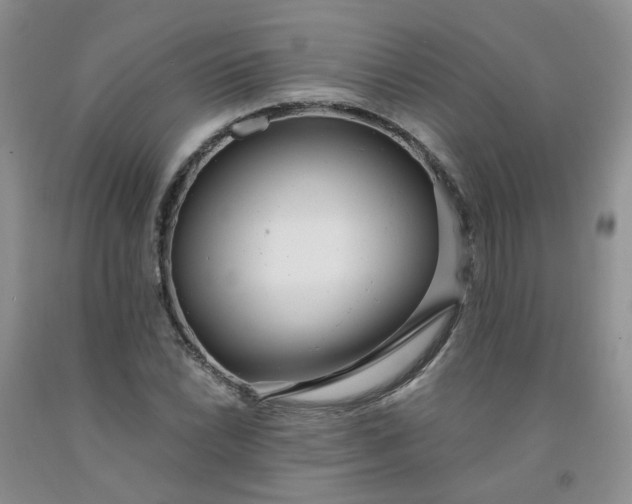 X0000091971022200709201401