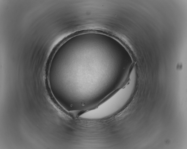 X0000091971024200709201401