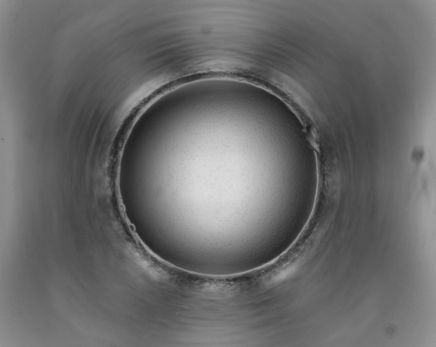 X0000091971026200709201401