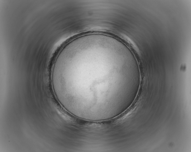 X0000091971027200709201401