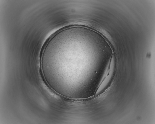 X0000091971028200709201401