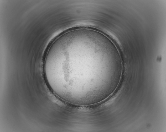 X0000091971029200709201401