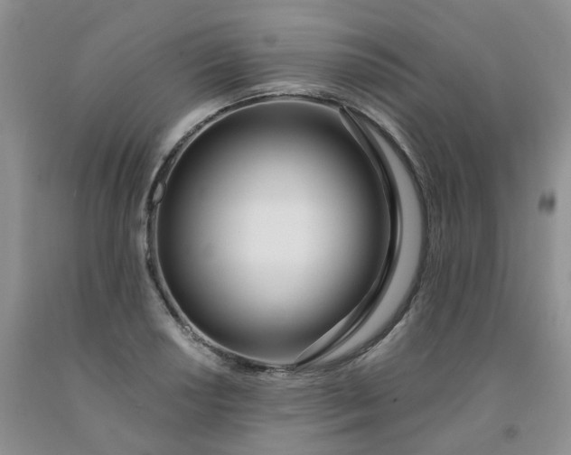 X0000091971034200709201401