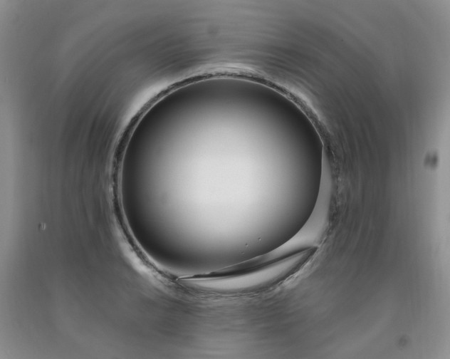 X0000091971038200709201401