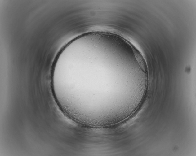 X0000091971045200709201401