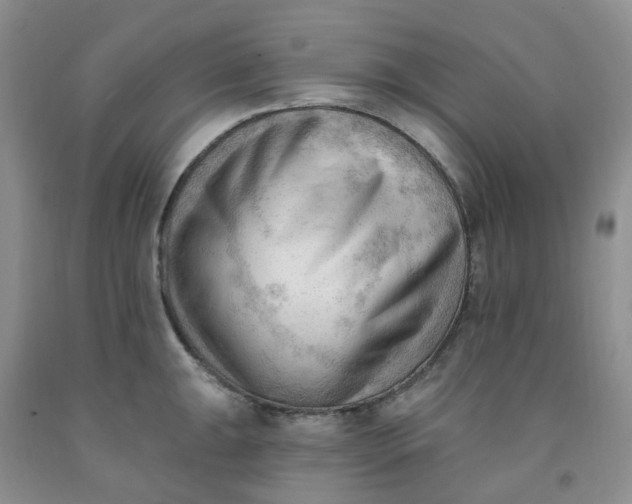 X0000091971047200709201401