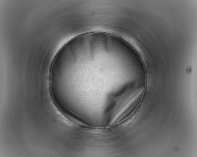 X0000091971048200709201401