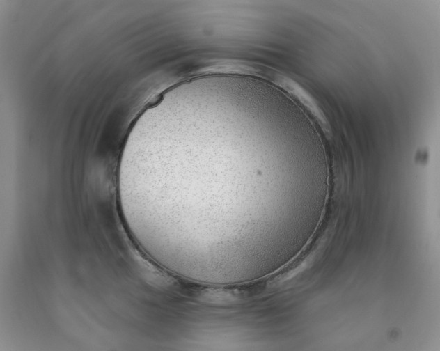 X0000091971049200709201401