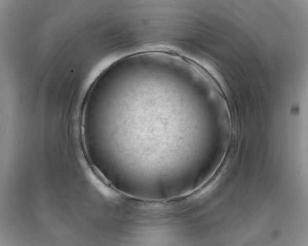 X0000091971054200709201401