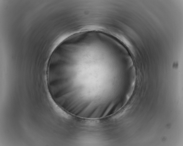 X0000091971055200709201401