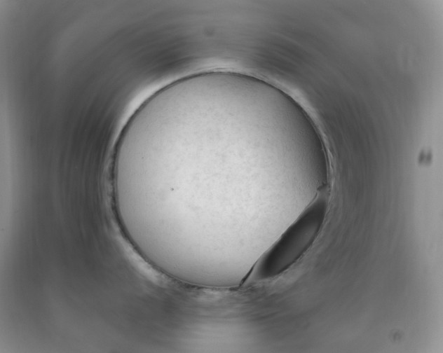 X0000091971056200709201401