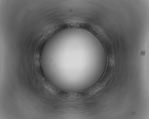 X0000091971060200709201400