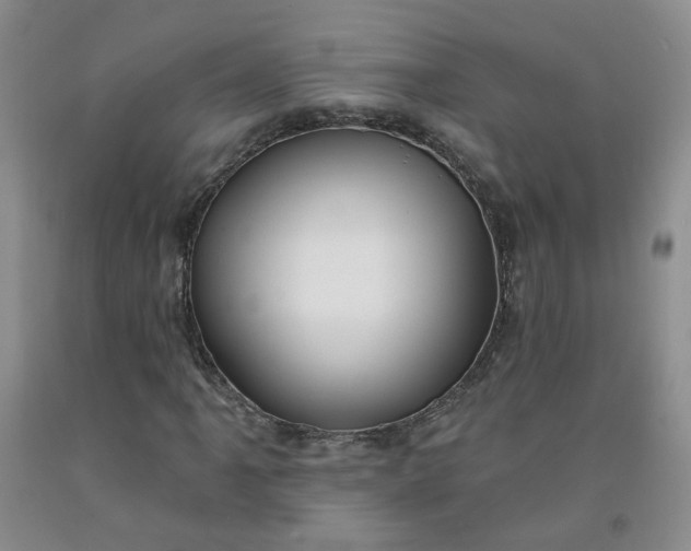 X0000091971061200709201400