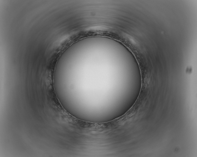 X0000091971062200709201400