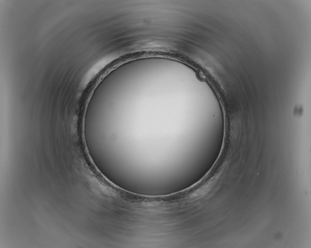X0000091971066200709201400