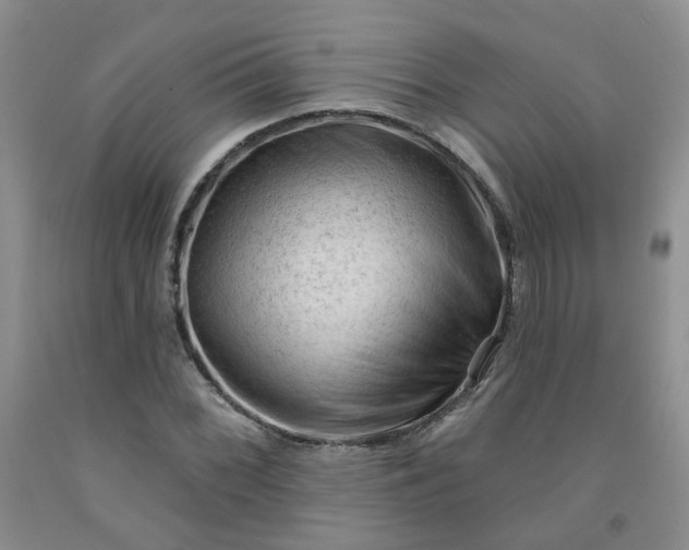 X0000091971068200709201400