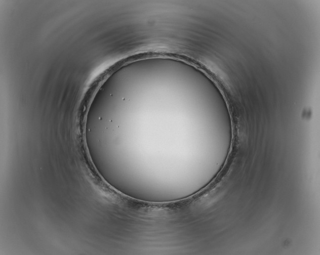 X0000091971070200709201400