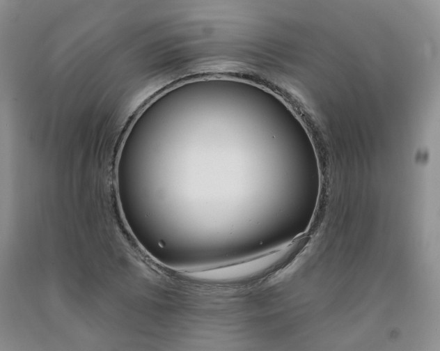 X0000091971073200709201400