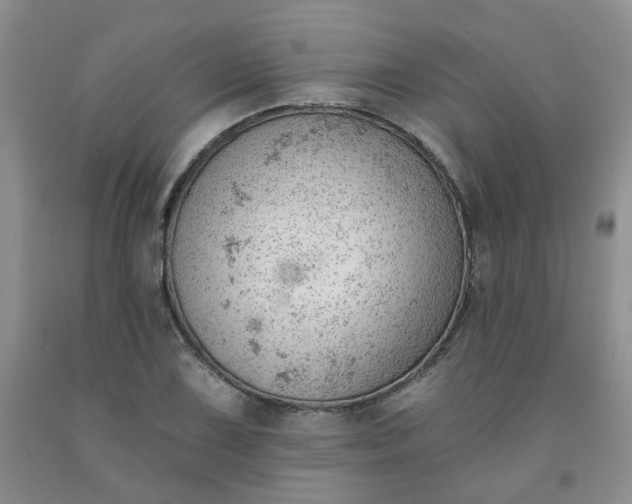 X0000091971075200709201400