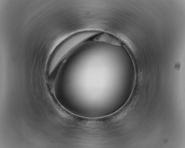 X0000091971077200709201400