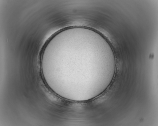 X0000091971078200709201400
