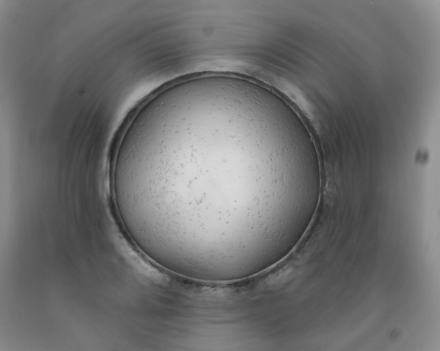 X0000091971080200709201400