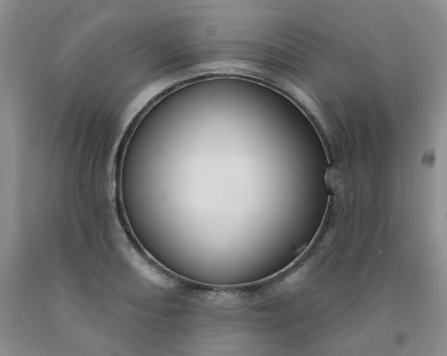 X0000091971082200709201400