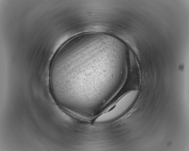 X0000091971083200709201400
