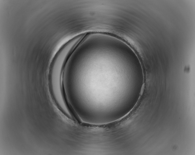 X0000091971085200709201400