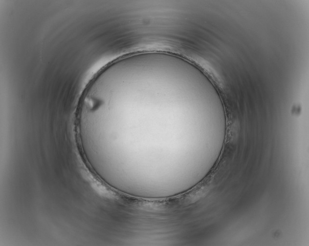 X0000091971086200709201400