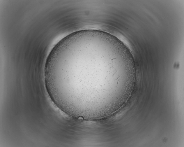 X0000091971088200709201400
