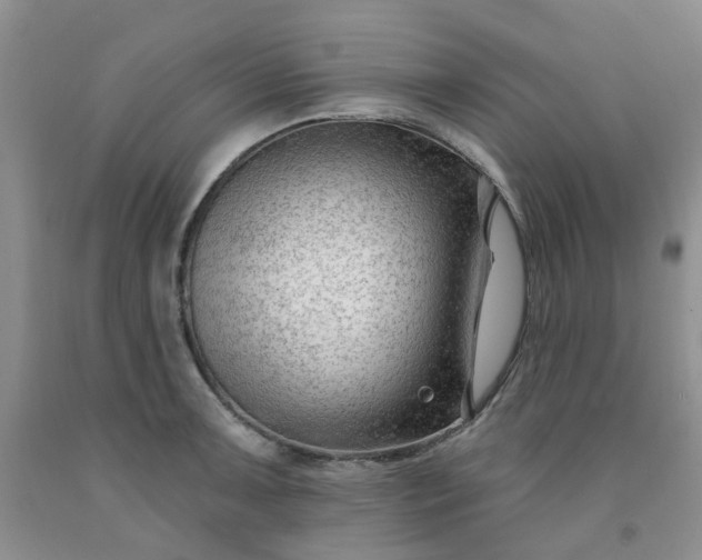 X0000091971091200709201400