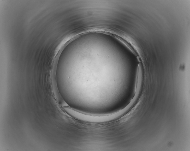 X0000091971097200709201400
