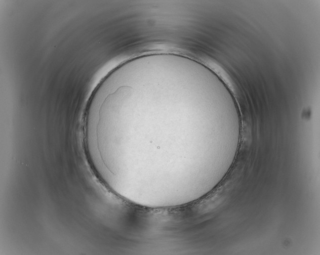 X0000091971098200709201400