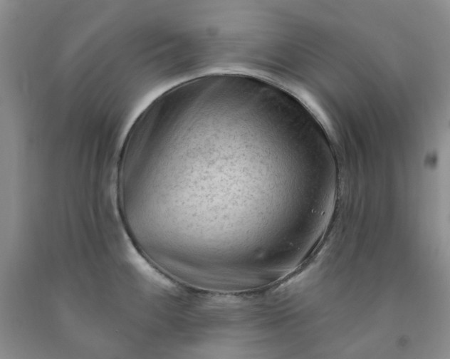 X0000091971100200709201400