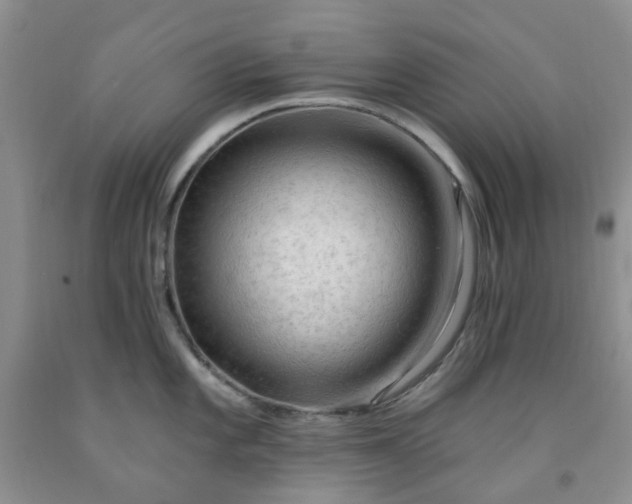 X0000091971101200709201400