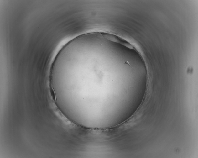 X0000091971104200709201400
