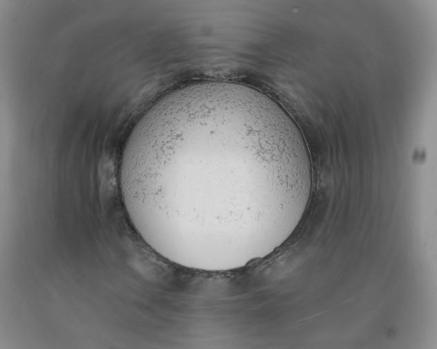 X0000091971106200709201359