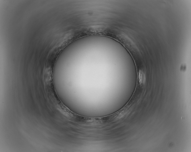 X0000091971107200709201359