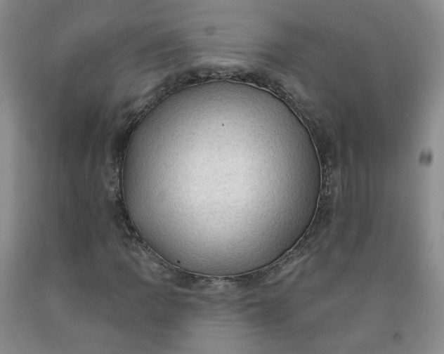 X0000091971109200709201359